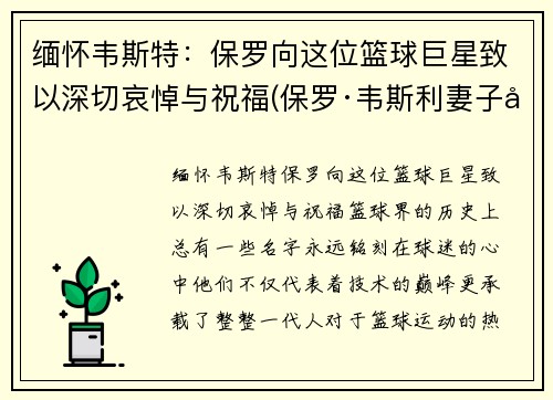 缅怀韦斯特：保罗向这位篮球巨星致以深切哀悼与祝福(保罗·韦斯利妻子客串)