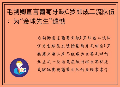 毛剑卿直言葡萄牙缺C罗即成二流队伍：为“金球先生”遗憾