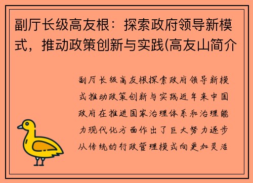 副厅长级高友根：探索政府领导新模式，推动政策创新与实践(高友山简介)